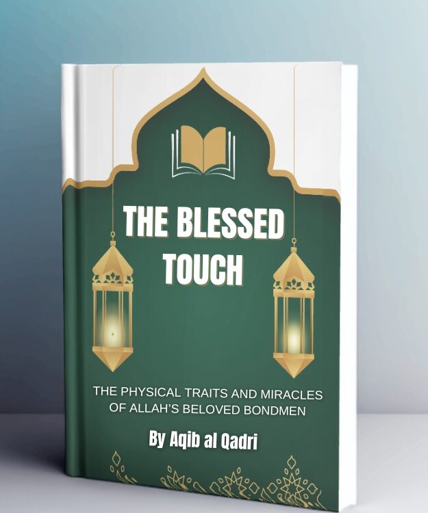 The Blessed Touch PDF BOOK IN ENGLISG